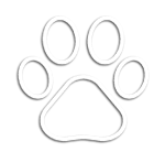 Paw Print Icon